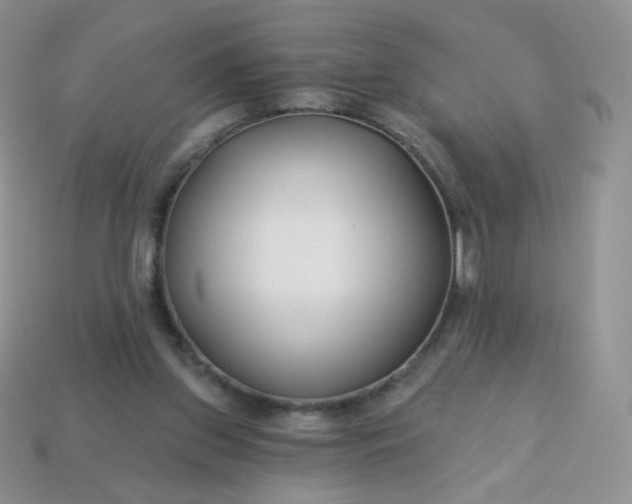 X0000114160157200910221616