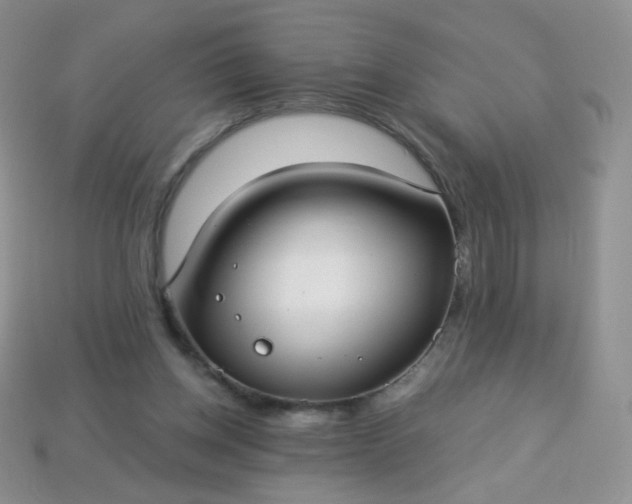 X0000114160158200910221616