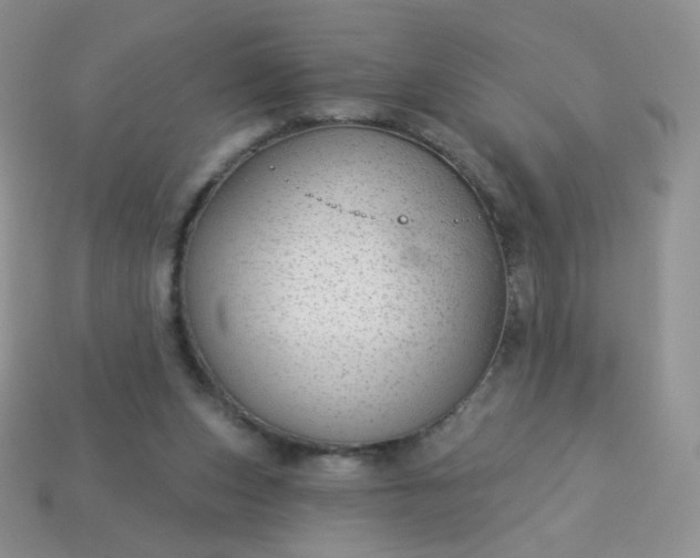 X0000114160159200910221616