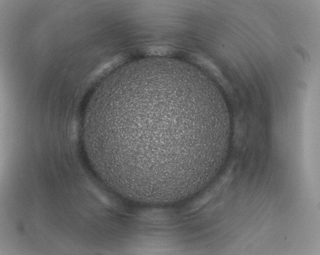 X0000114160161200910221616