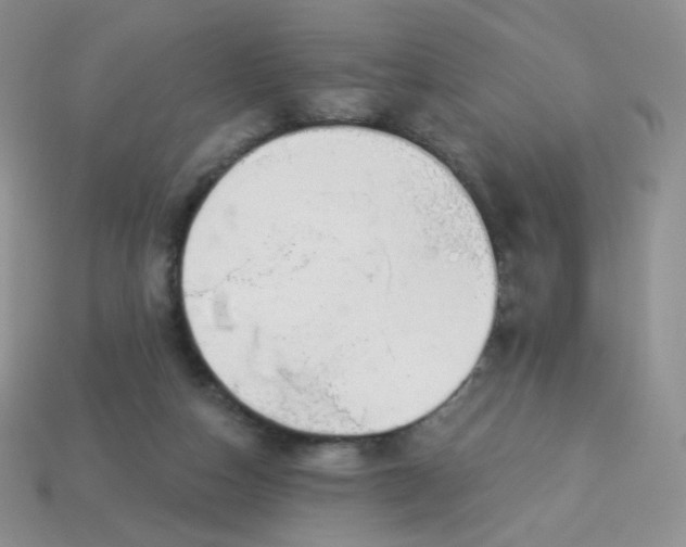 X0000114160162200910221616