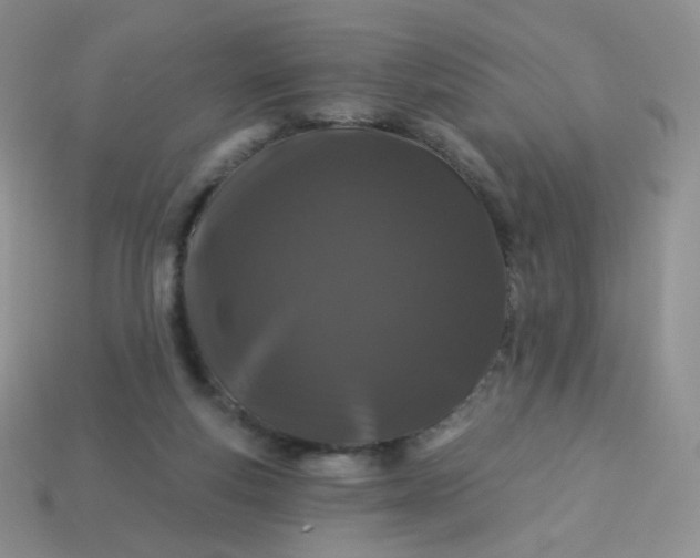 X0000114160163200910221616