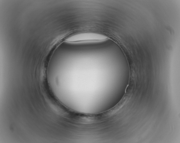 X0000114160164200910221616