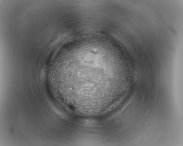 X0000114160165200910221616