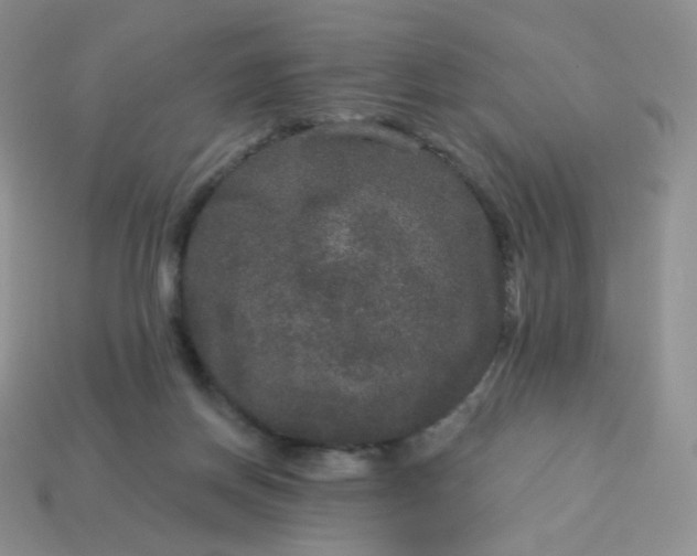 X0000114160166200910221616