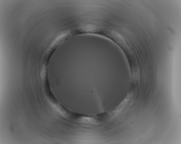 X0000114160167200910221616