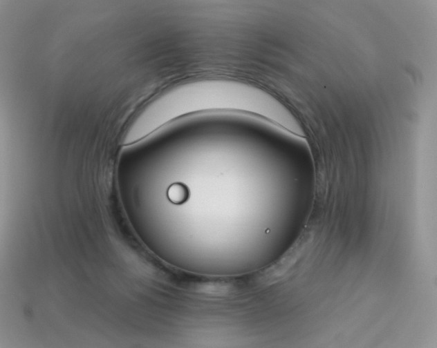 X0000114160168200910221616