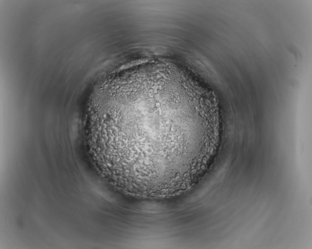 X0000114160169200910221616