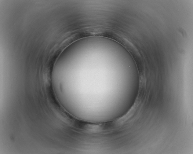 X0000114160170200910221616