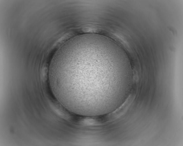 X0000114160171200910221616