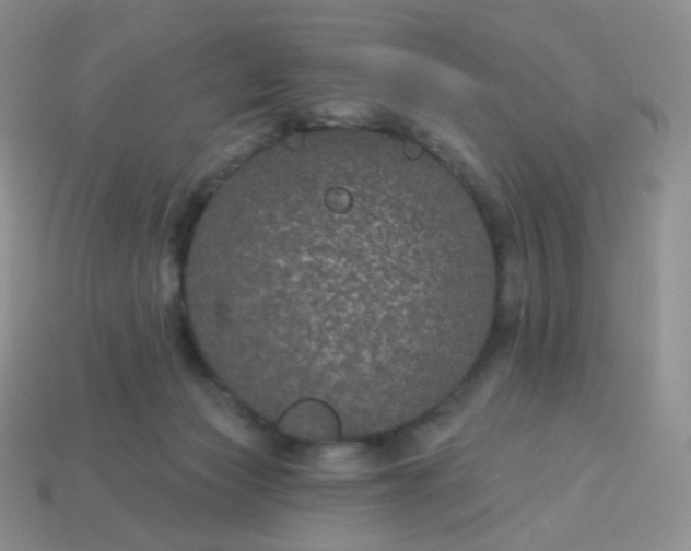 X0000114160173200910221616