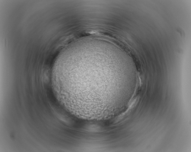 X0000114160175200910221616