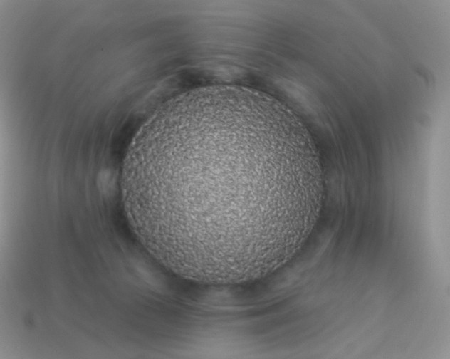 X0000114160177200910221616