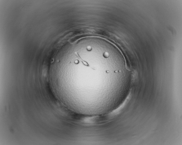 X0000114160178200910221616