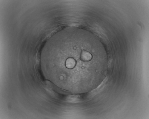 X0000114160179200910221616