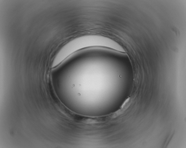 X0000114160180200910221616