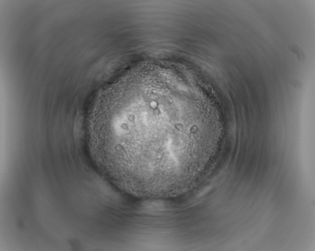 X0000114160181200910221616