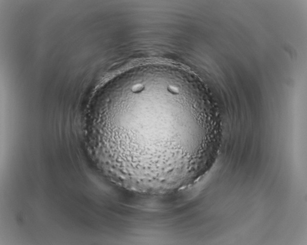 X0000114160182200910221616