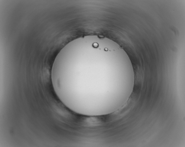 X0000114160183200910221616