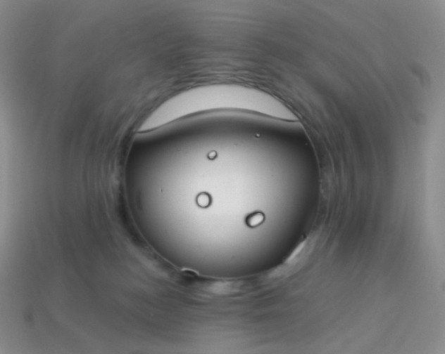 X0000114160184200910221616