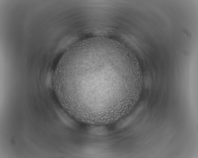 X0000114160185200910221616