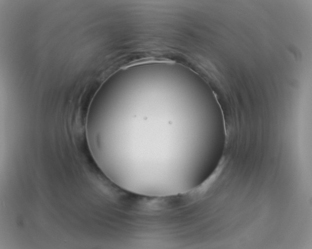 X0000114160186200910221616