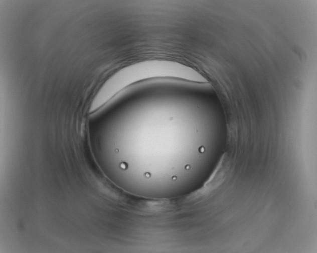 X0000114160188200910221616