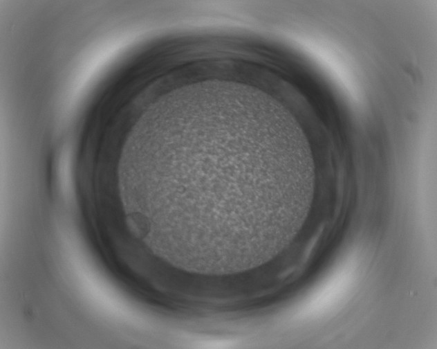 X0000114160189200910221616