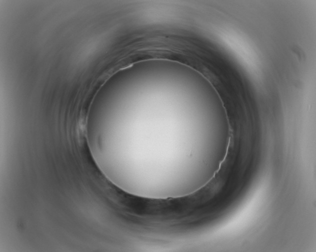 X0000114160190200910221616