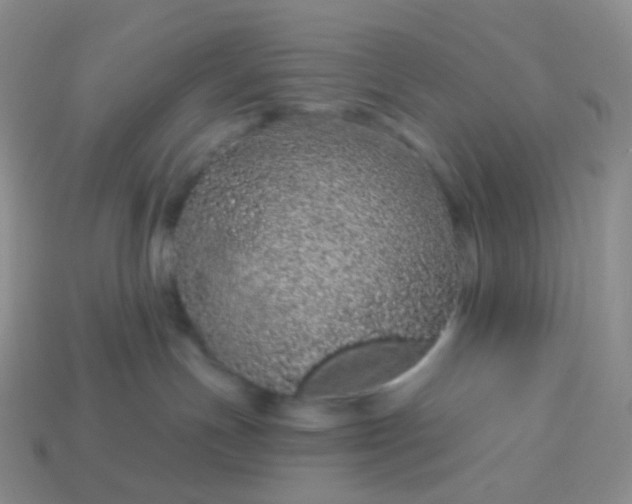 X0000114160191200910221616