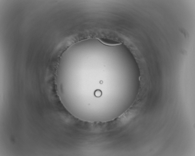 X0000114160192200910221616