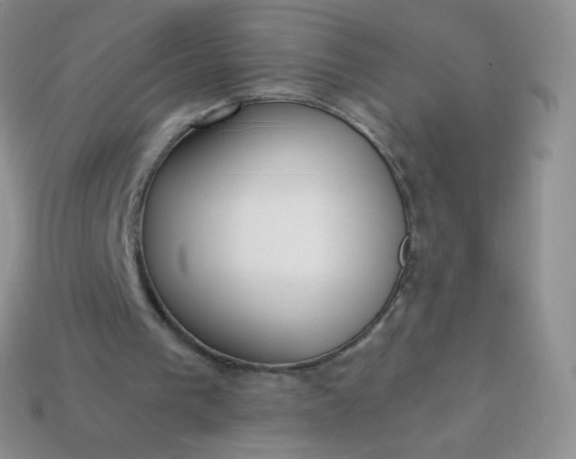 X0000114160193200910221615