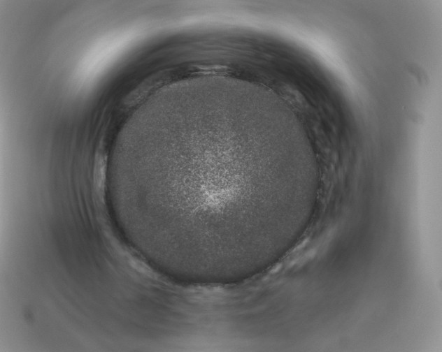 X0000114160194200910221615