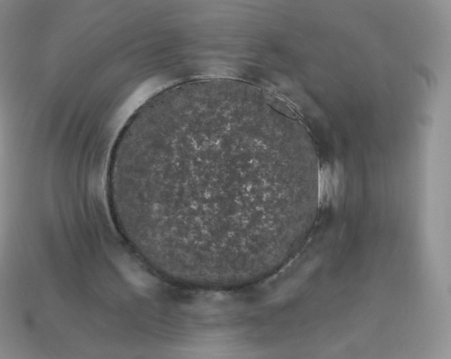 X0000114160195200910221615