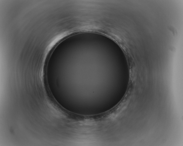 X0000114160196200910221615