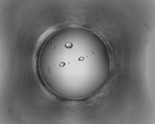 X0000114160197200910221615