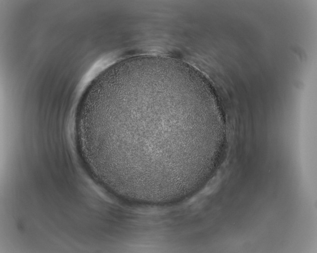 X0000114160198200910221615