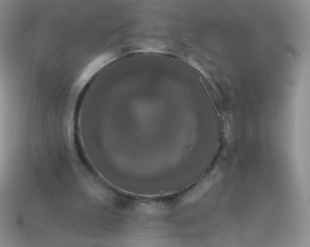 X0000114160199200910221615