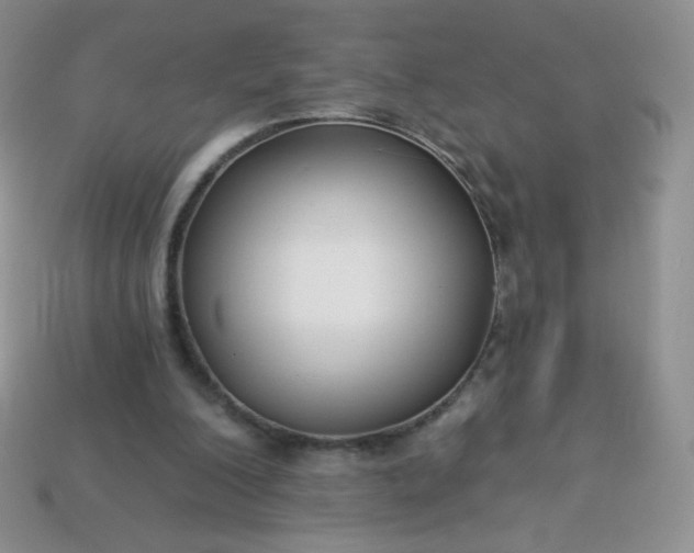 X0000114160200200910221615