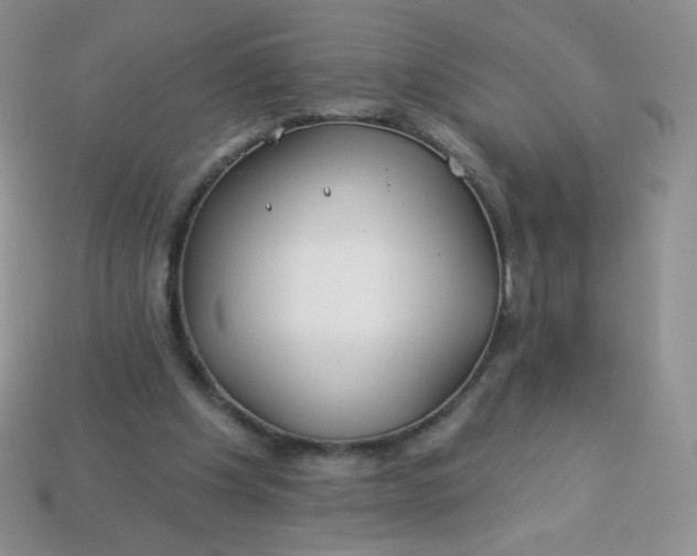 X0000114160201200910221615