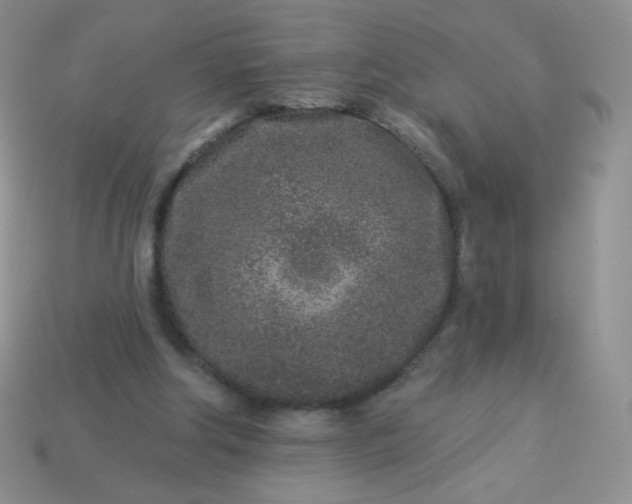 X0000114160202200910221615