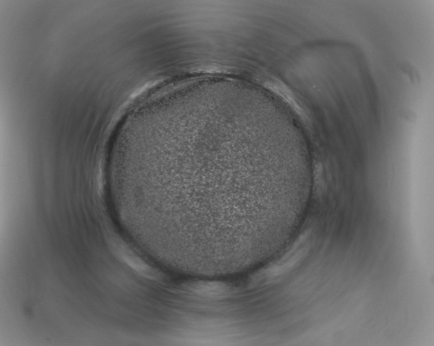 X0000114160203200910221615