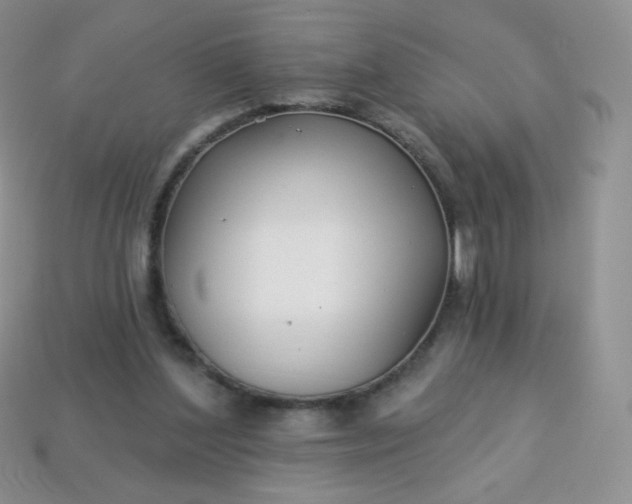 X0000114160204200910221615