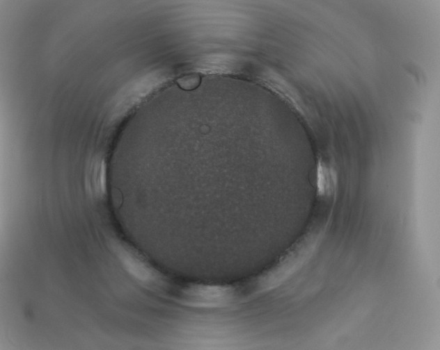 X0000114160205200910221615