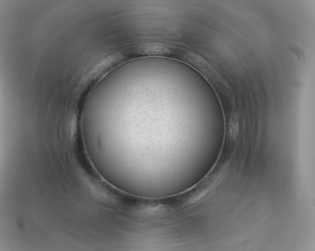 X0000114160206200910221615