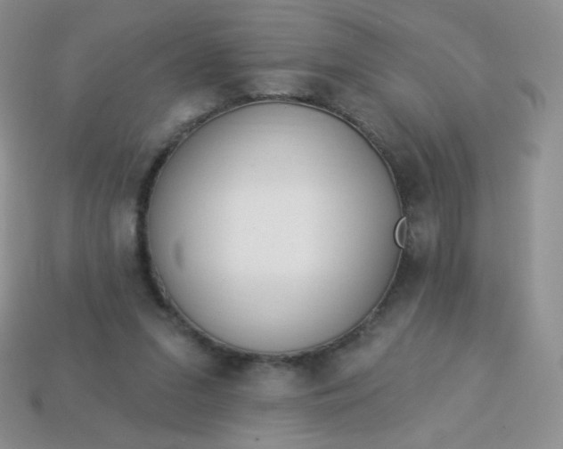 X0000114160207200910221615