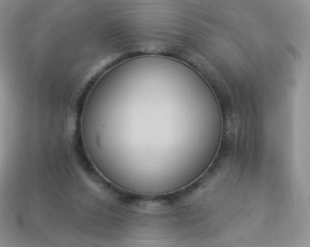 X0000114160208200910221615