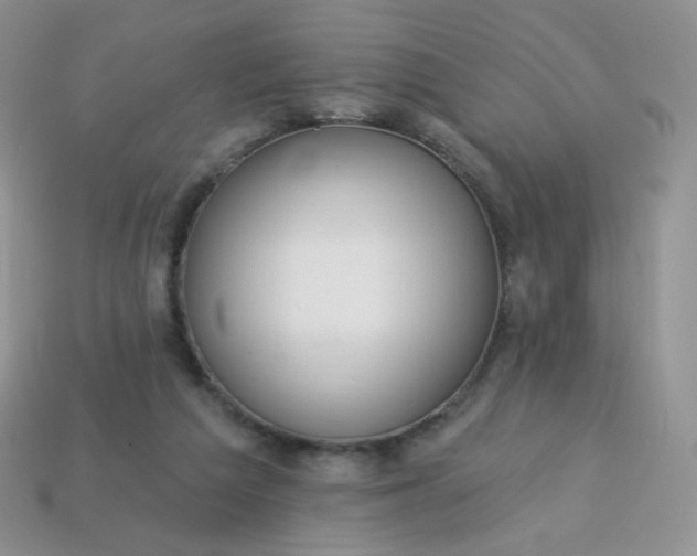 X0000114160209200910221615