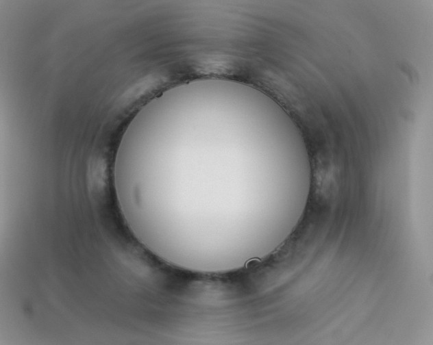 X0000114160211200910221615