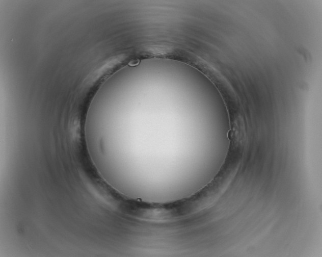 X0000114160212200910221615